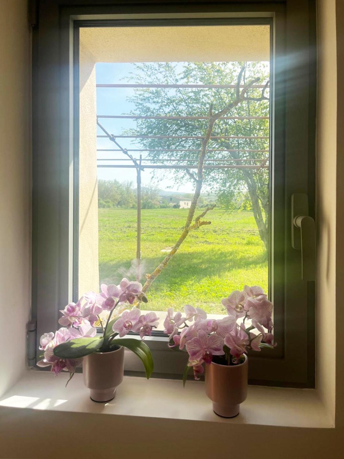 Villa Le Petit Cabanon Provencal